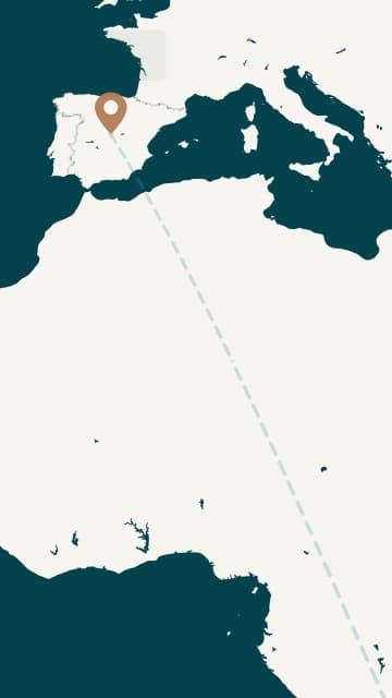 Madrid to Johannesburg Flight Route AI motion template preview